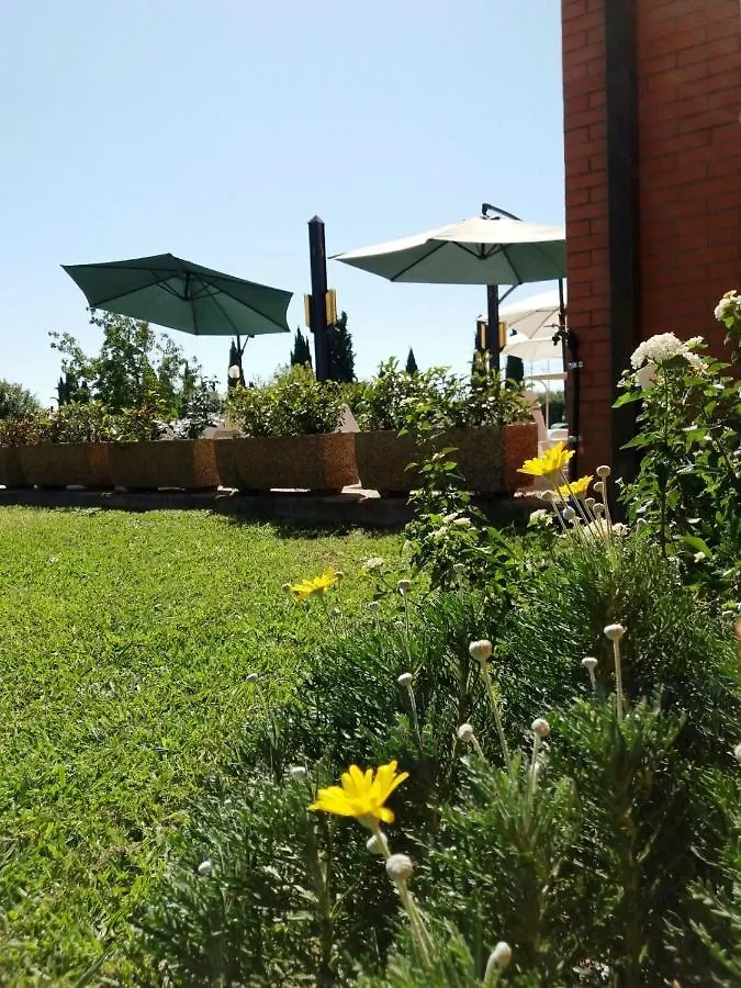 Meditur Hotel Pisa Migliarino Pisano